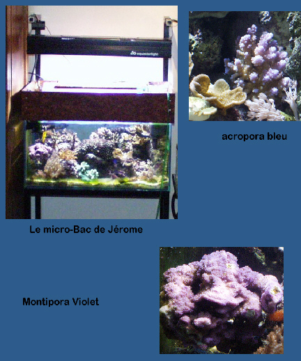 photo bac jerome.jpg (158127 octets)